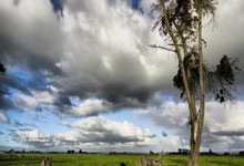 国足喜提3分还有希望？足球博主否认“造谣”，坚称澳大利亚违规.